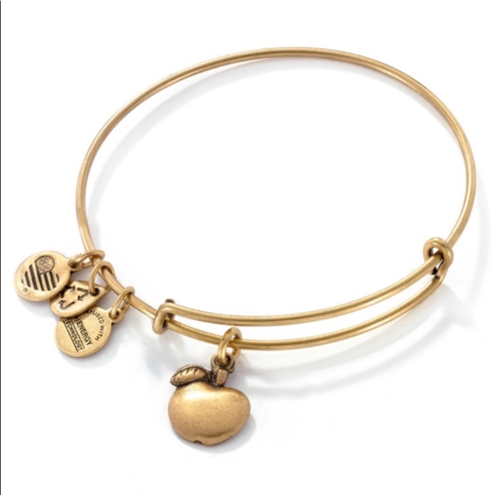 Alex and Ani Bracelet